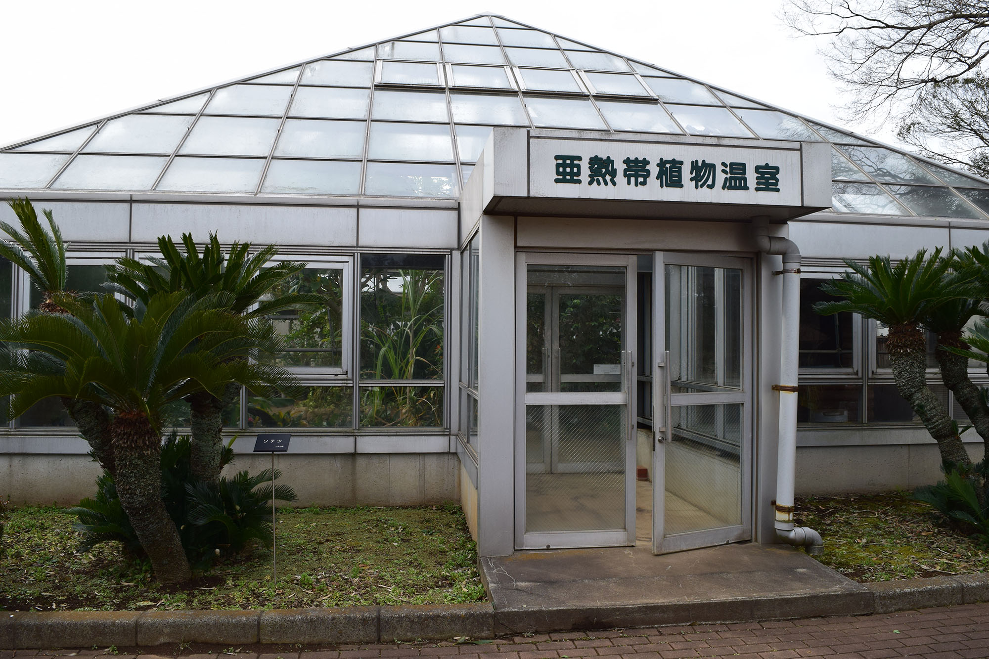 植物温室の写真